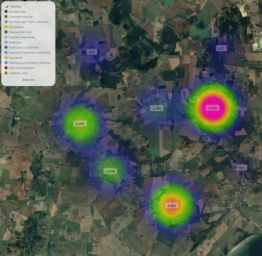 BioSonic species heatmap showing bat activity across survey sites